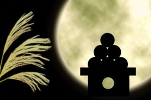 満月とススキと月見団子の影