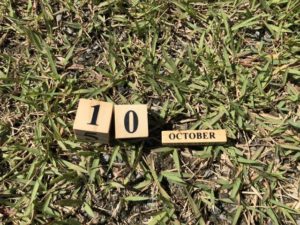 芝生の上に10とoctoberの文字の木のサイコロ