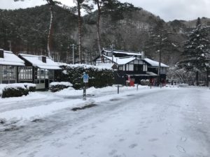 岩手龍泉洞でコウモリを目撃 服装や食事についてもご紹介 あの日の自分にすすめたい